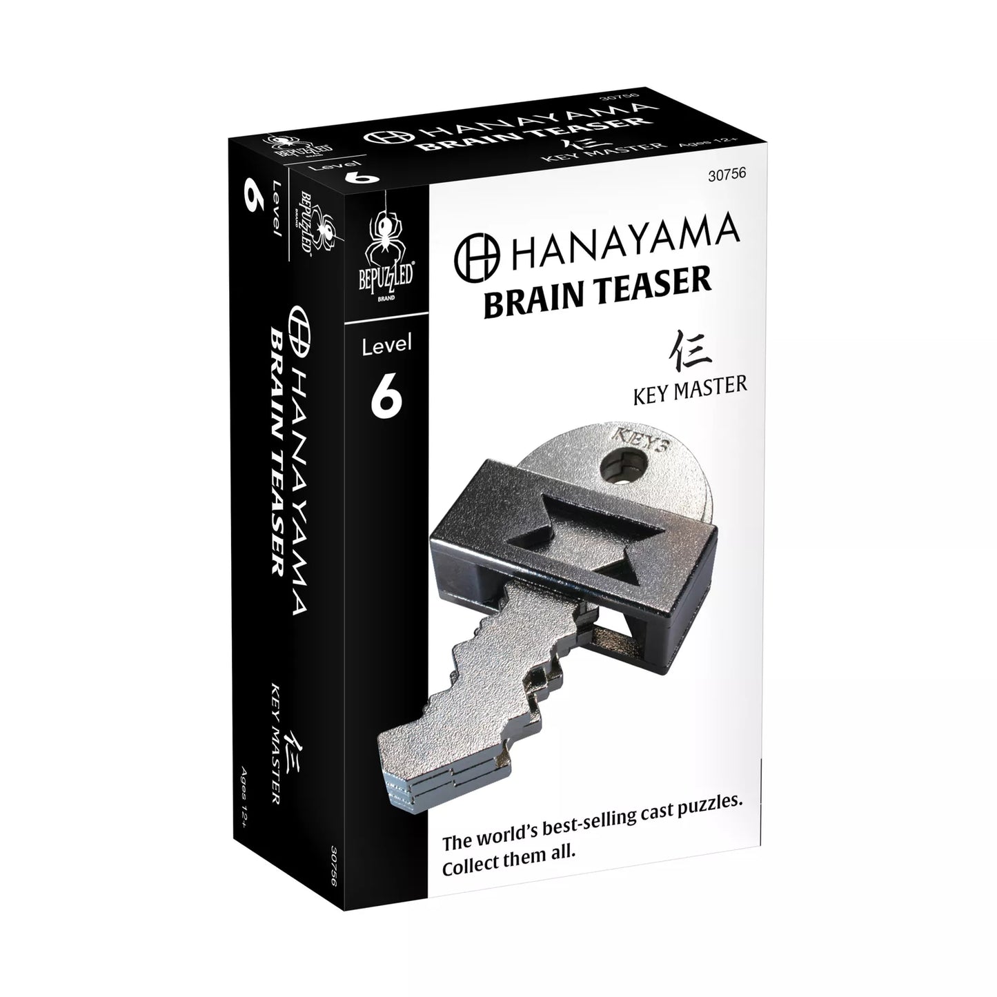BePuzzled Hanayama Level 6 Cast Puzzle - Key Master