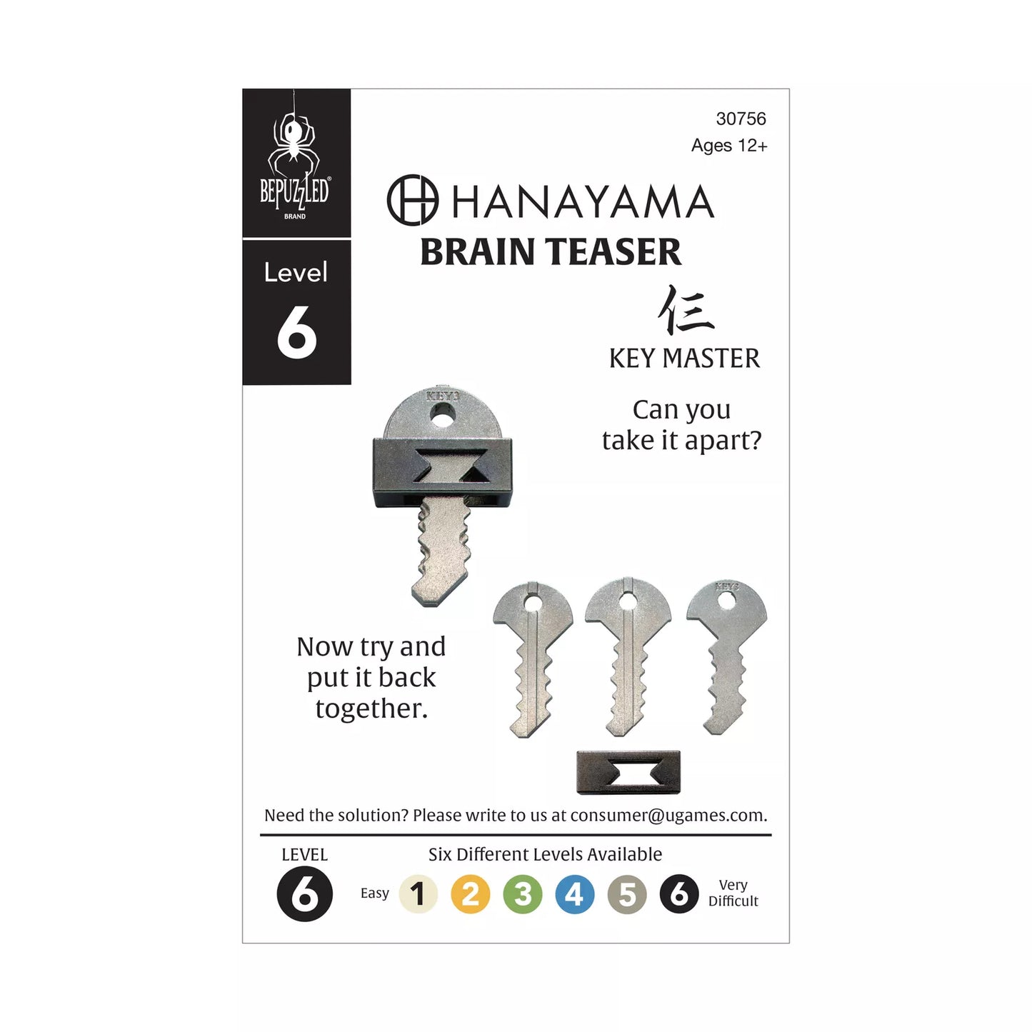 BePuzzled Hanayama Level 6 Cast Puzzle - Key Master