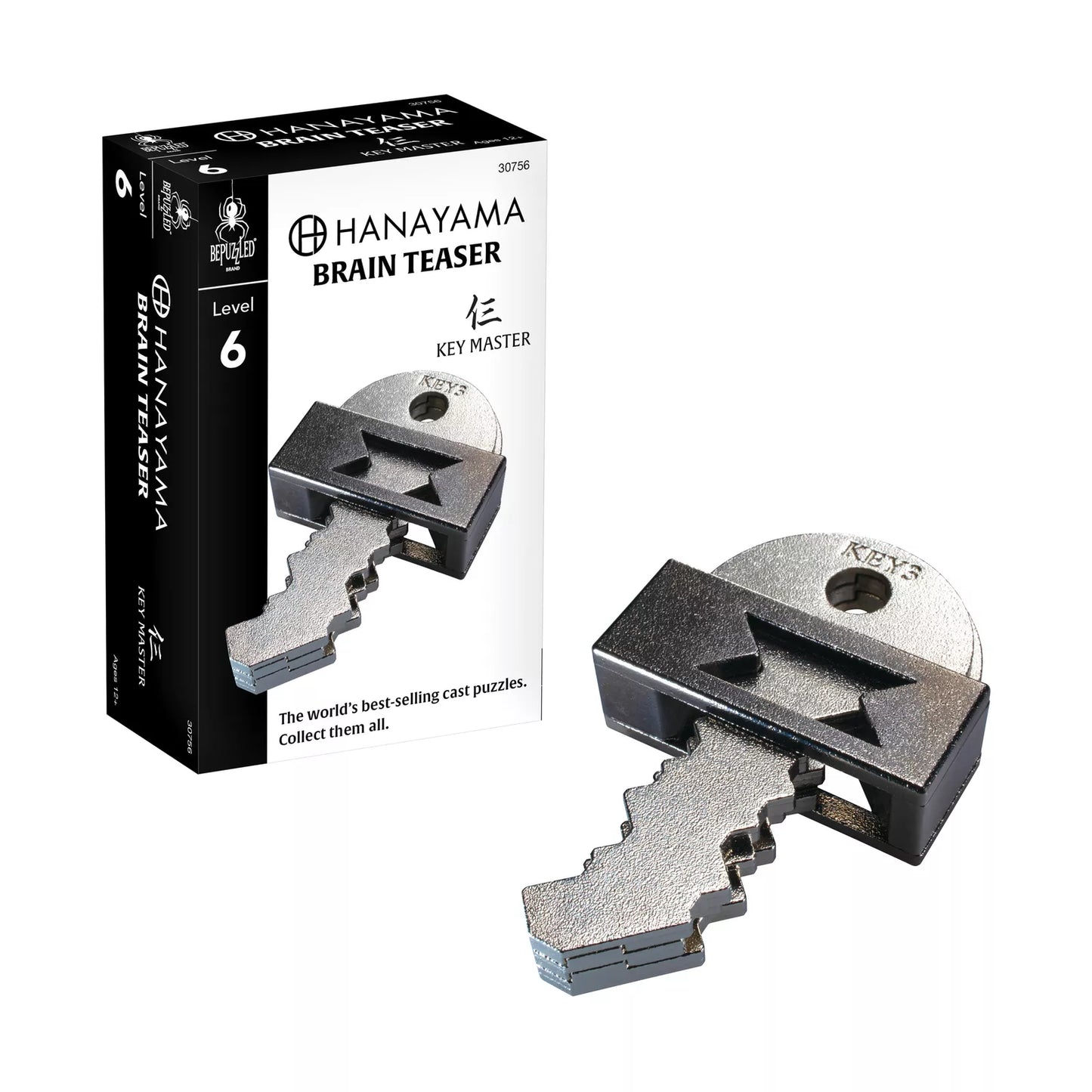 BePuzzled Hanayama Level 6 Cast Puzzle - Key Master