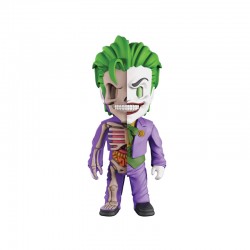 XXRAY DC COMICS - THE JOKER