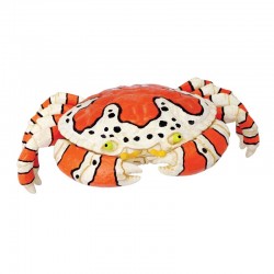 4D PUZZLE CLOWN CRAB