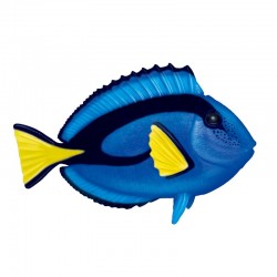 4D PUZZLE BLUE TANG FISH