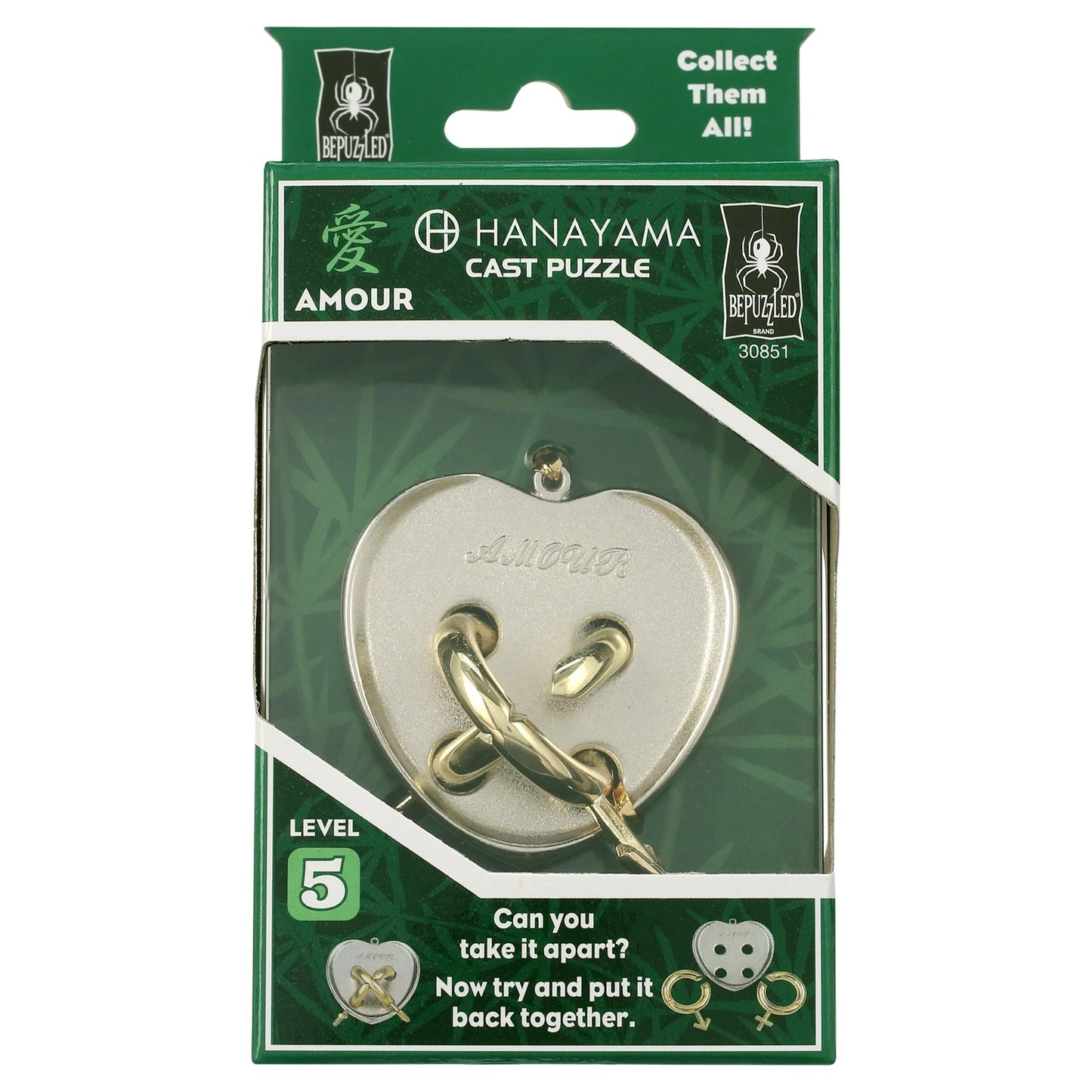 Hanayama Cast Metal Puzzle - AMOUR Level 5