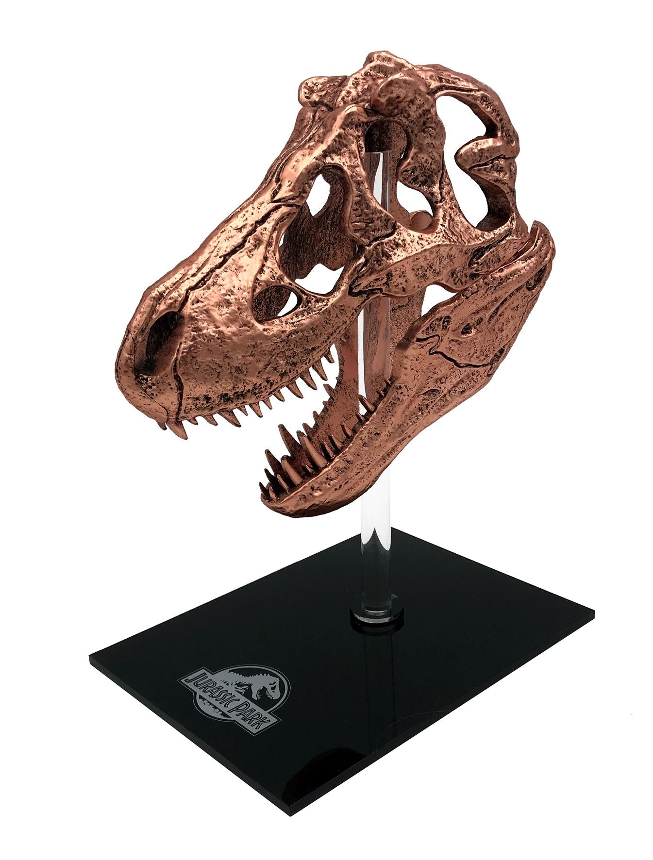 Jurassic Park - T-Rex Skull Scaled Prop Replica