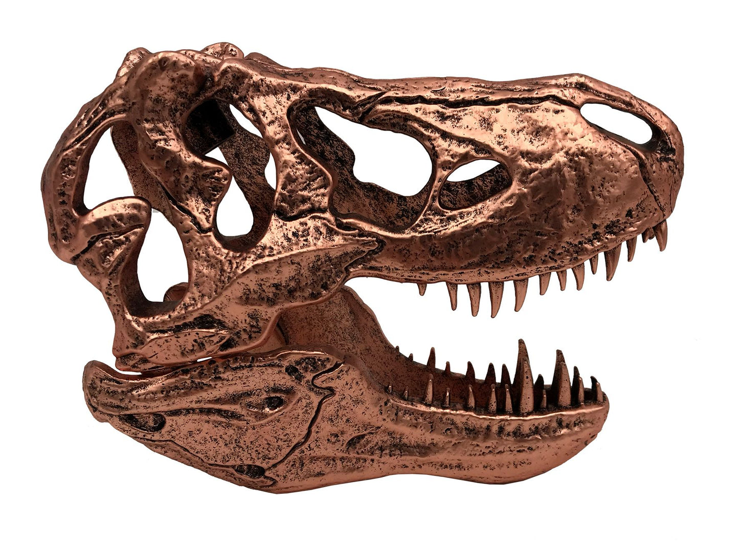 Jurassic Park - T-Rex Skull Scaled Prop Replica