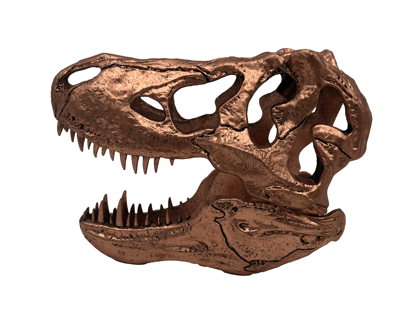 Jurassic Park - T-Rex Skull Scaled Prop Replica