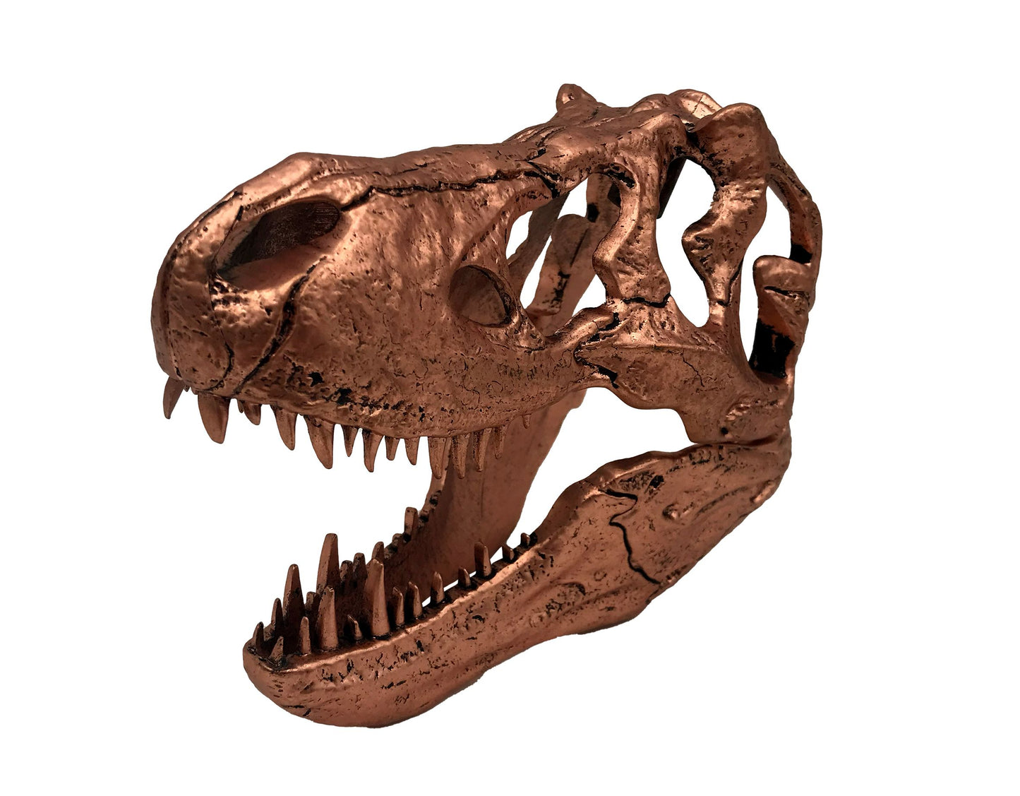 Jurassic Park - T-Rex Skull Scaled Prop Replica