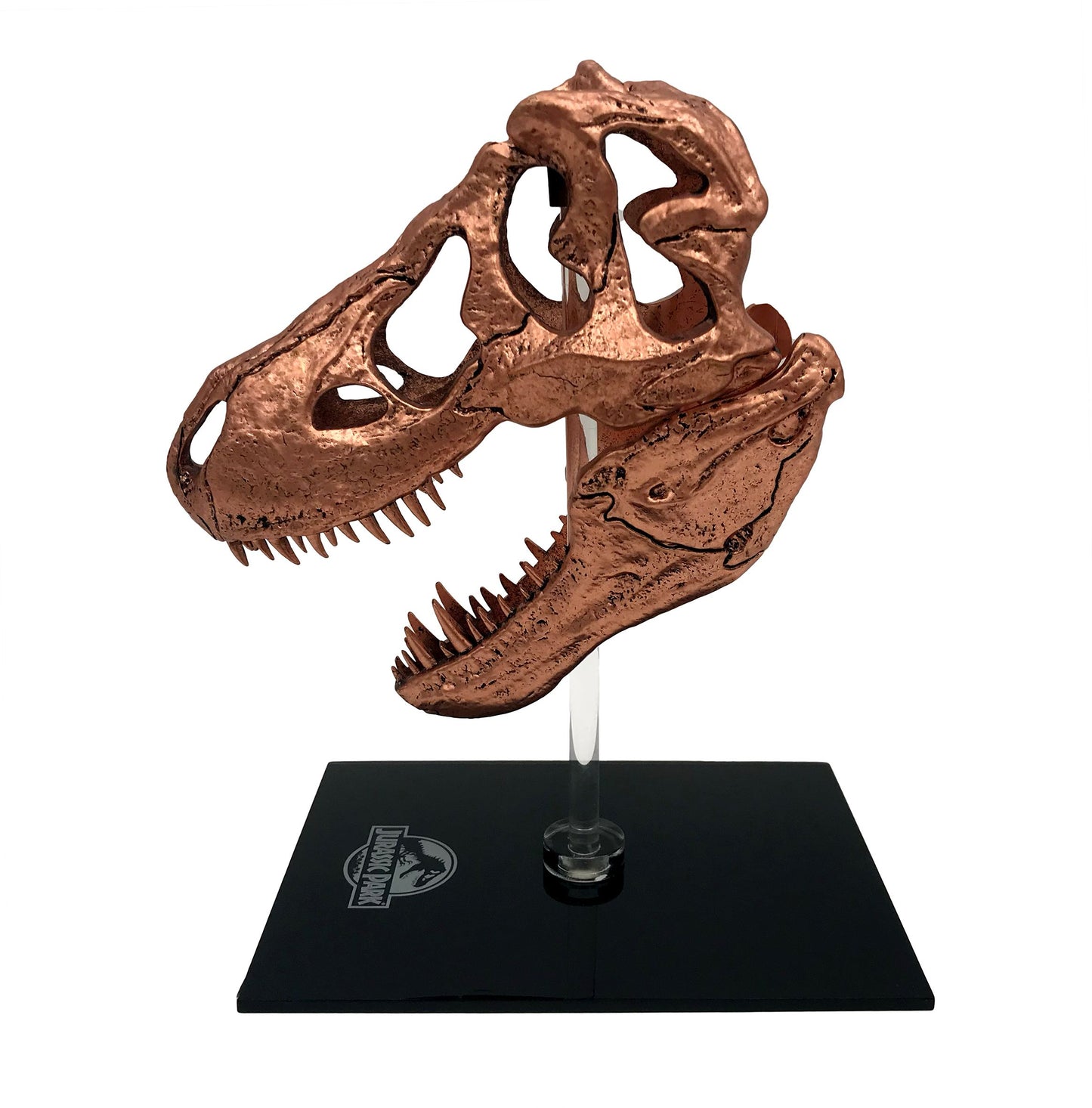 Jurassic Park - T-Rex Skull Scaled Prop Replica