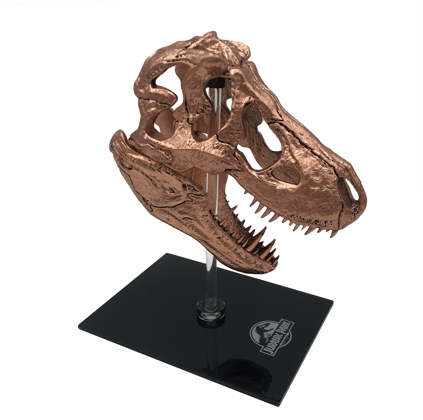 Jurassic Park - T-Rex Skull Scaled Prop Replica