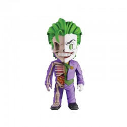 XXRAY DC COMICS - THE JOKER