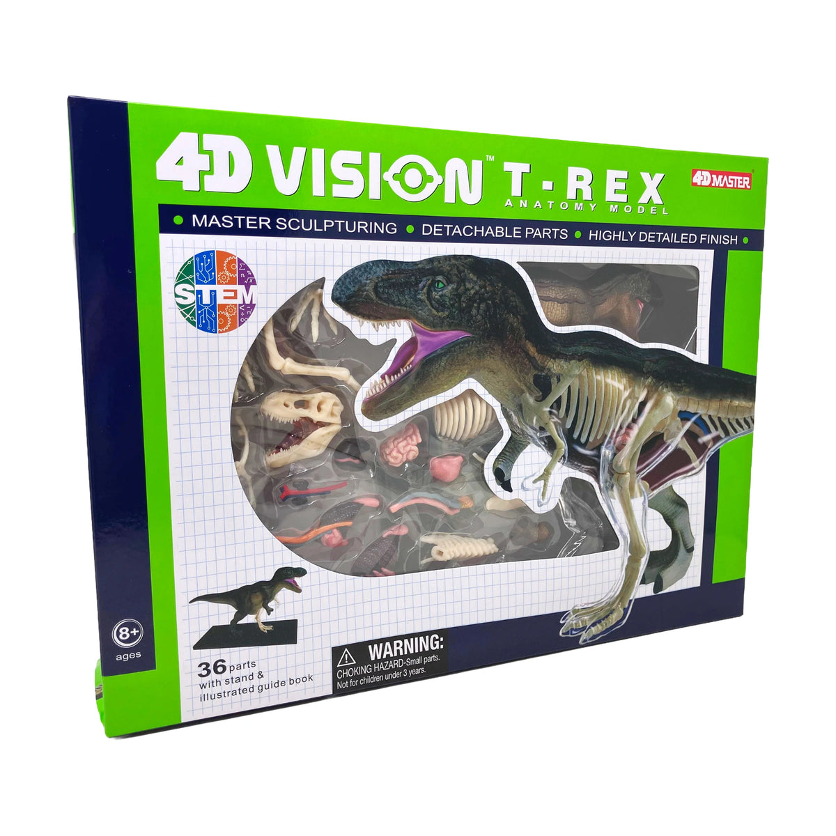 4D Vision T-Rex Anatomy Model