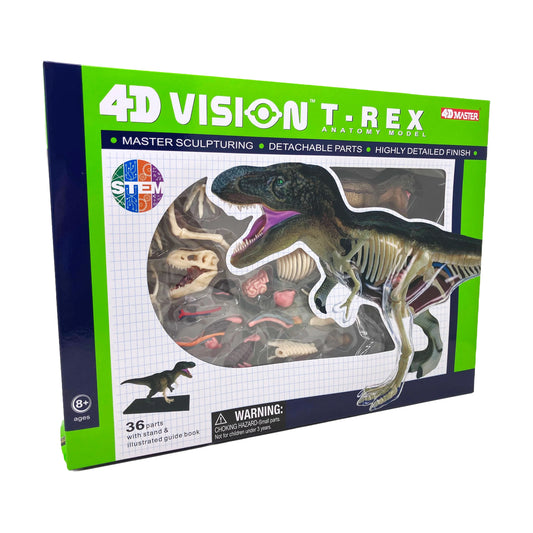 4D Vision T-Rex Anatomy Model