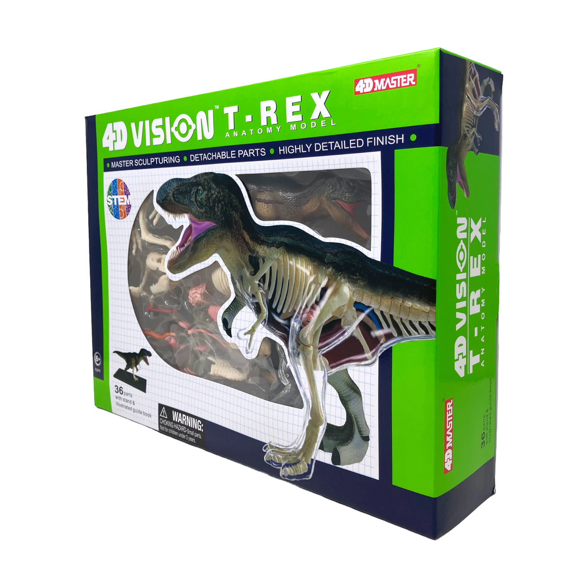 4D Vision T-Rex Anatomy Model