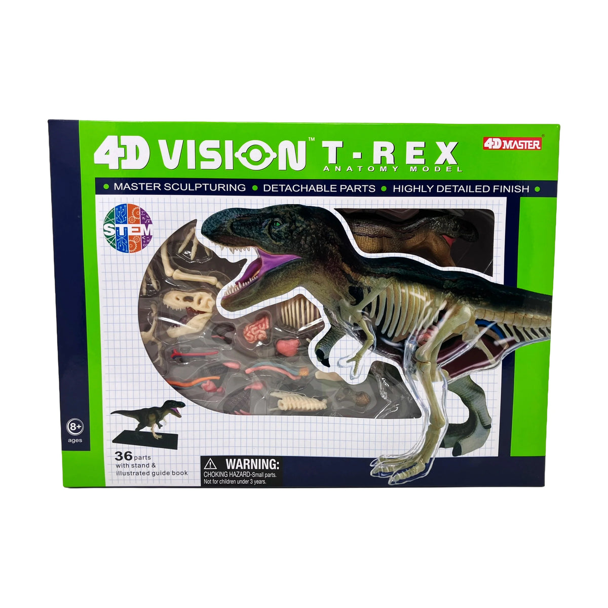 4D Vision T-Rex Anatomy Model