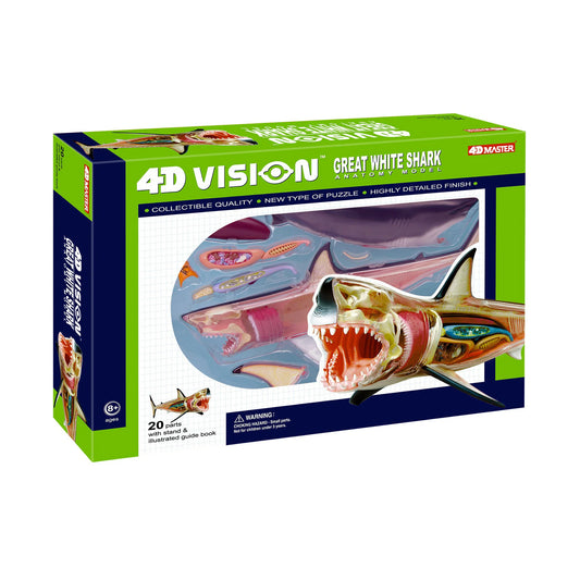 4D Vision Great White Shark Anatomy Model