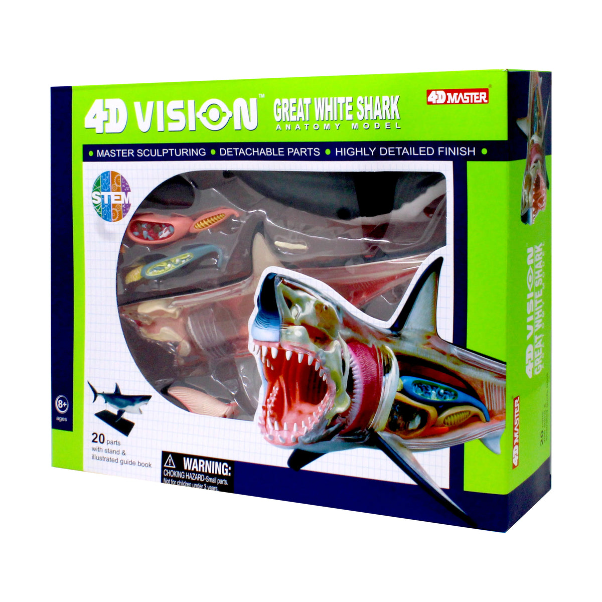 4D Vision Great White Shark Anatomy Model