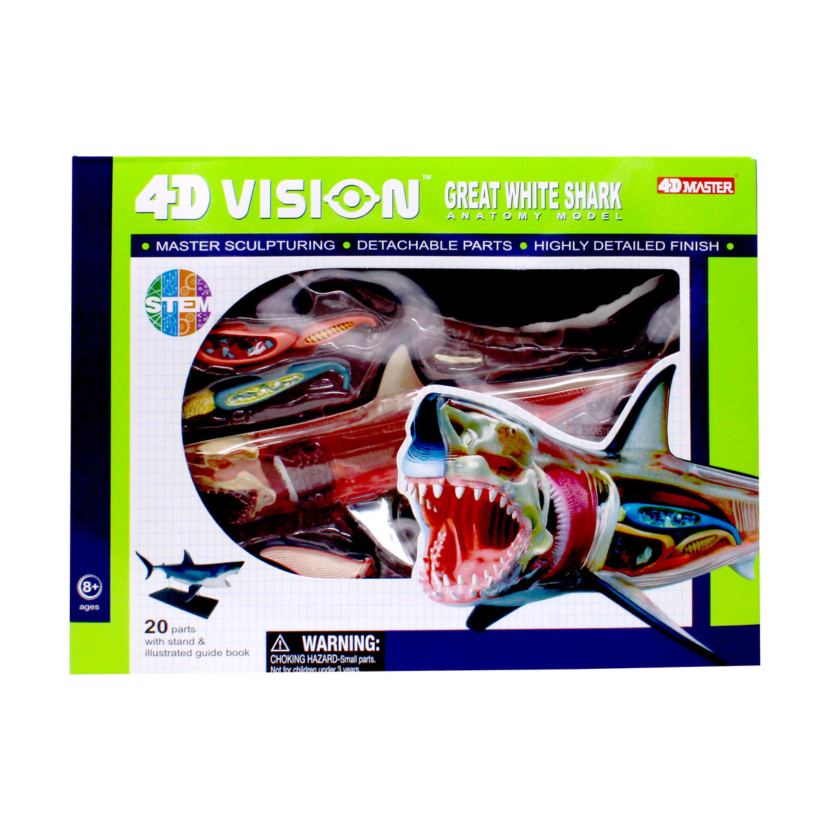 4D Vision Great White Shark Anatomy Model